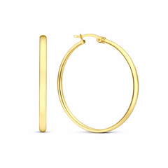 Noa Serane Yellow Gold Earrings